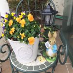 はじめてのガーデニング　～花・ハーブ編～